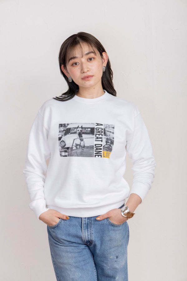 モデル身長:164cm / 着用サイズ:F