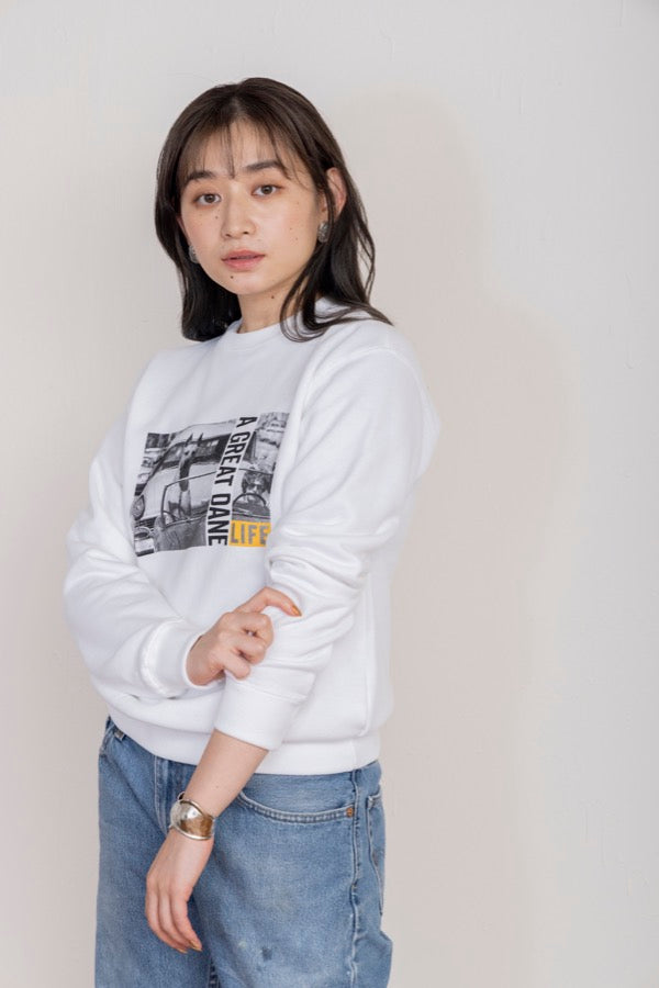 モデル身長:164cm / 着用サイズ:F