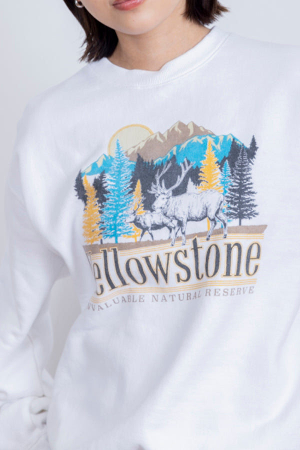 モデル身長:154cm / 着用サイズ:F